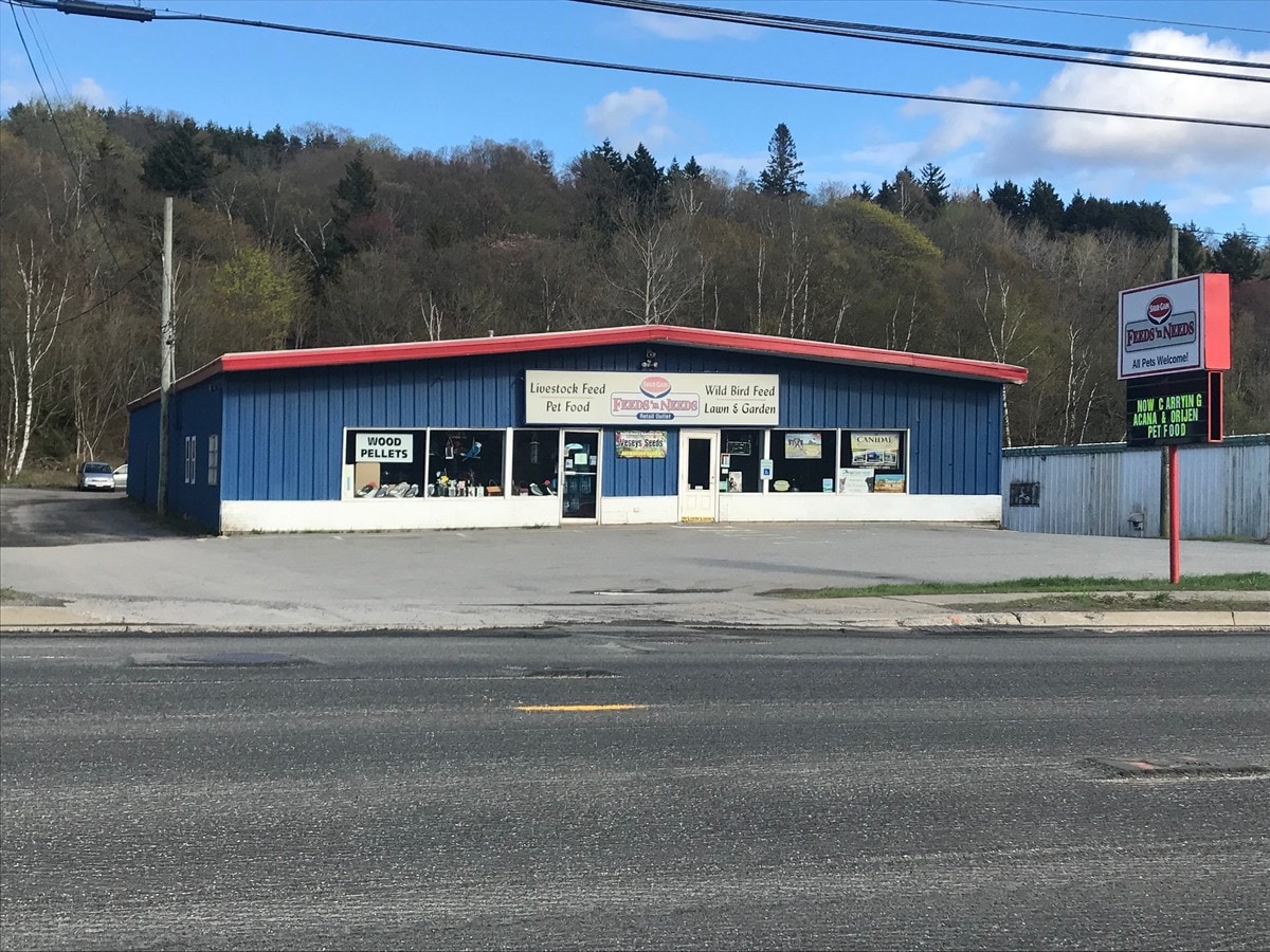 354 Rothesay Ave, Saint John, NB E2J 2C4