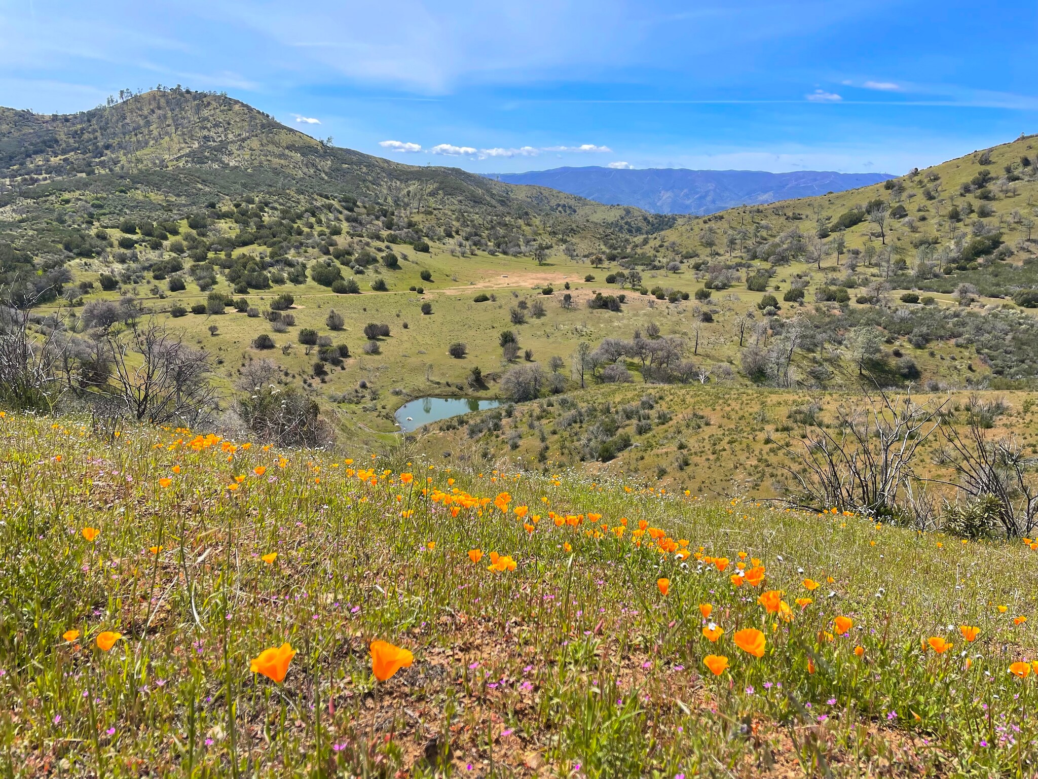 Del Puerto Canyon Rd, Patterson, CA for sale Building Photo- Image 1 of 1