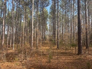 More details for Oak Tree Dr, Honea Path, SC - Land for Sale