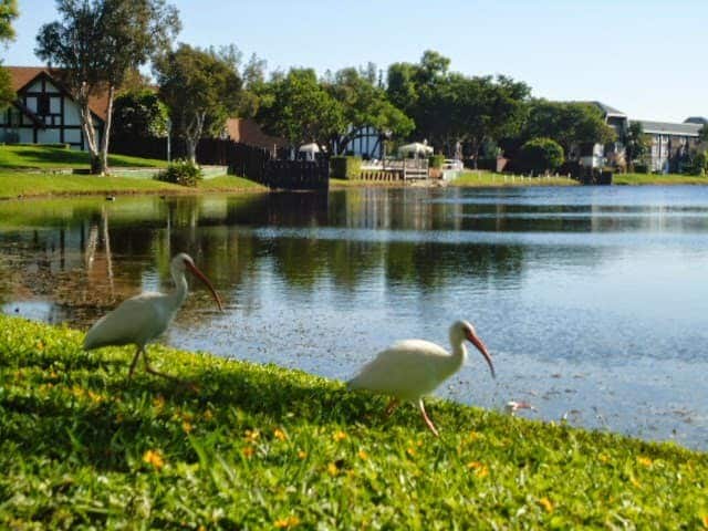 Multifamily in Lauderhill, FL for sale Building Photo- Image 1 of 1