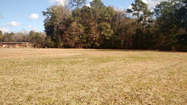 0 Butler St, Midway, GA for sale - Building Photo - Image 1 of 1