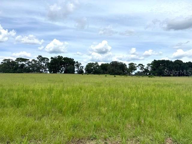 CR 635, Bushnell, FL for sale - Other - Image 3 of 12