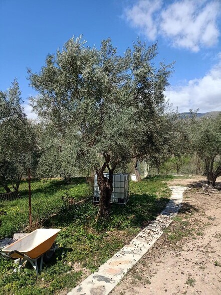 Land in Fondón for sale - Building Photo - Image 3 of 11