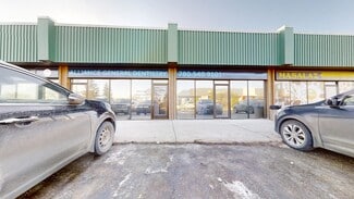 More details for 4214 66 St NW, Edmonton, AB - Retail for Sale