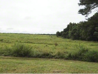 Old Creek Rd, Newington, GA for sale - Primary Photo - Image 1 of 1