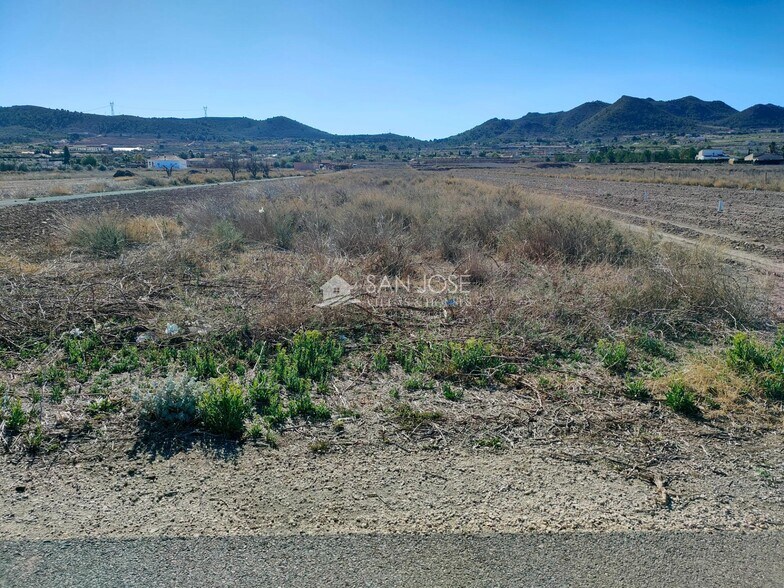 Land in Hondón de los Frailes for sale - Building Photo - Image 3 of 4