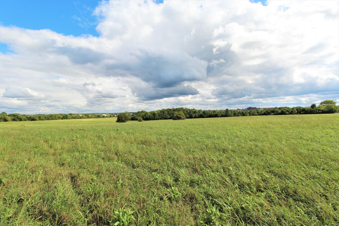 View Photo
