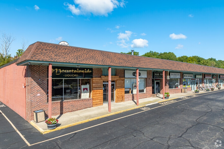 109-115 Skyline Dr, Ringwood, NJ for lease - Building Photo - Image 2 of 8