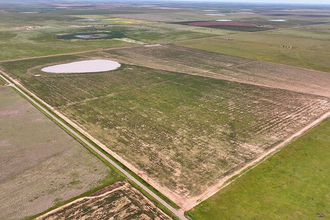 807 County Road 515, Dimmitt, TX for sale - Building Photo - Image 3 of 6