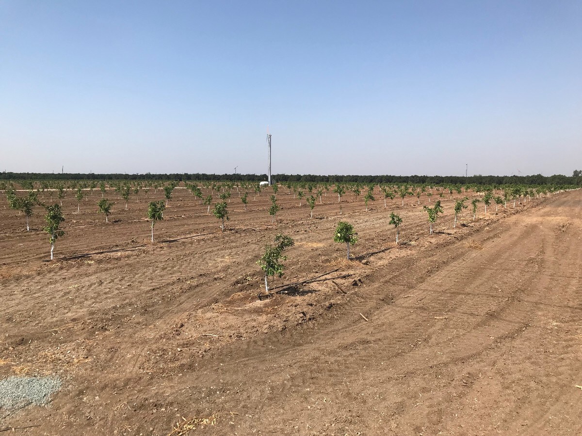 Avenue 76, Terra Bella, CA 93270