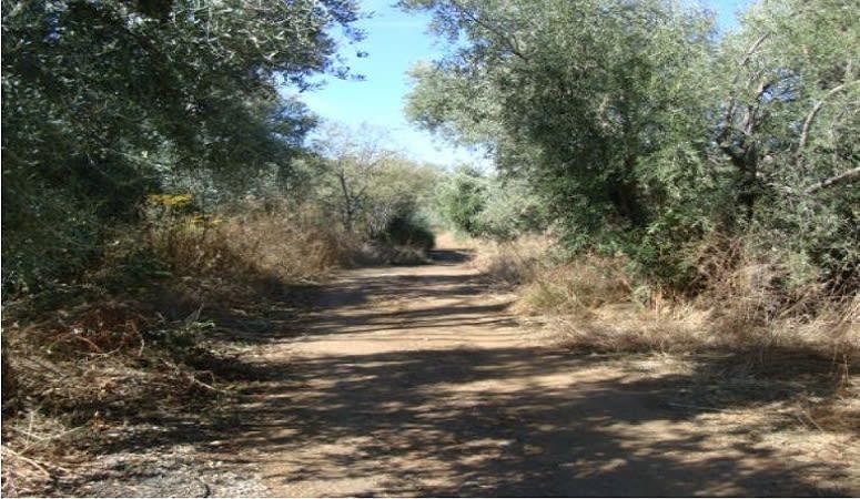 Land in Pinos Genil for sale Building Photo- Image 1 of 10