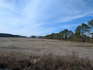 More details for 522 Plum Nearly Ln, Trenton, NC - Land for Sale