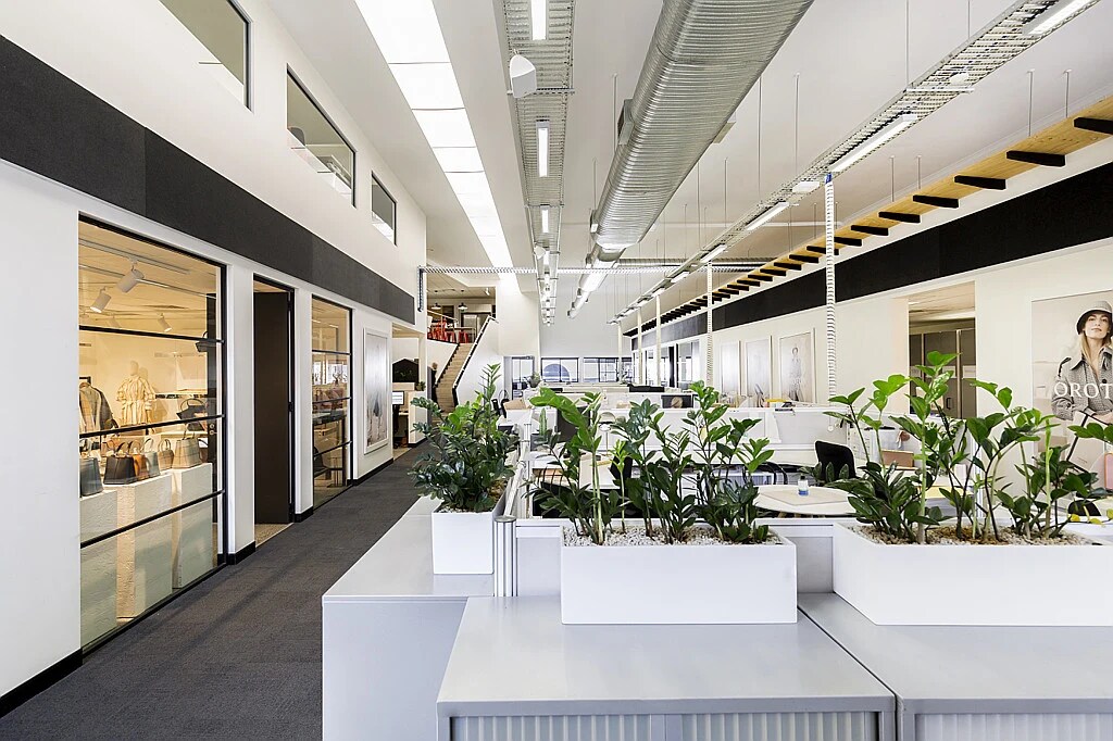 56 Victoria St, McMahons Point for lease Interior Photo- Image 1 of 8