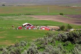 3355 Farm To Market Rd, Midvale, ID for sale Primary Photo- Image 1 of 1