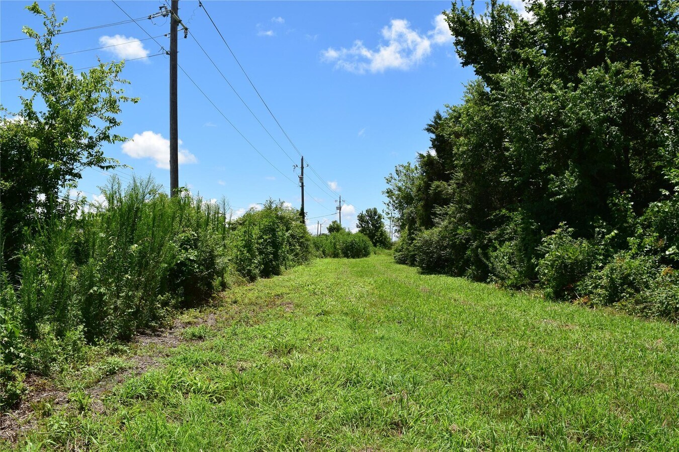 View Photo