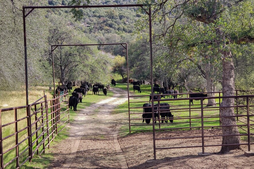 Dry Creek Drive, Badger, CA for sale - Building Photo - Image 2 of 23