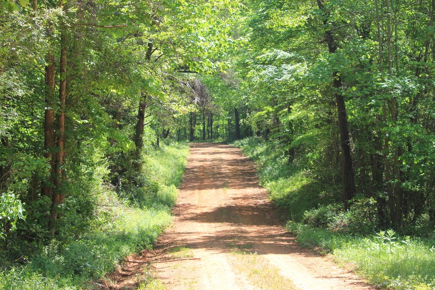 607 Shady Grove Rd, Homer, GA 30547