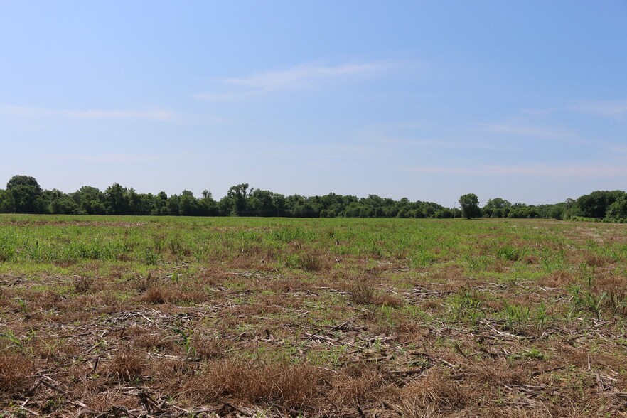 4201 Bermuda Hundred Rd, Chester, VA for sale - Primary Photo - Image 1 of 1