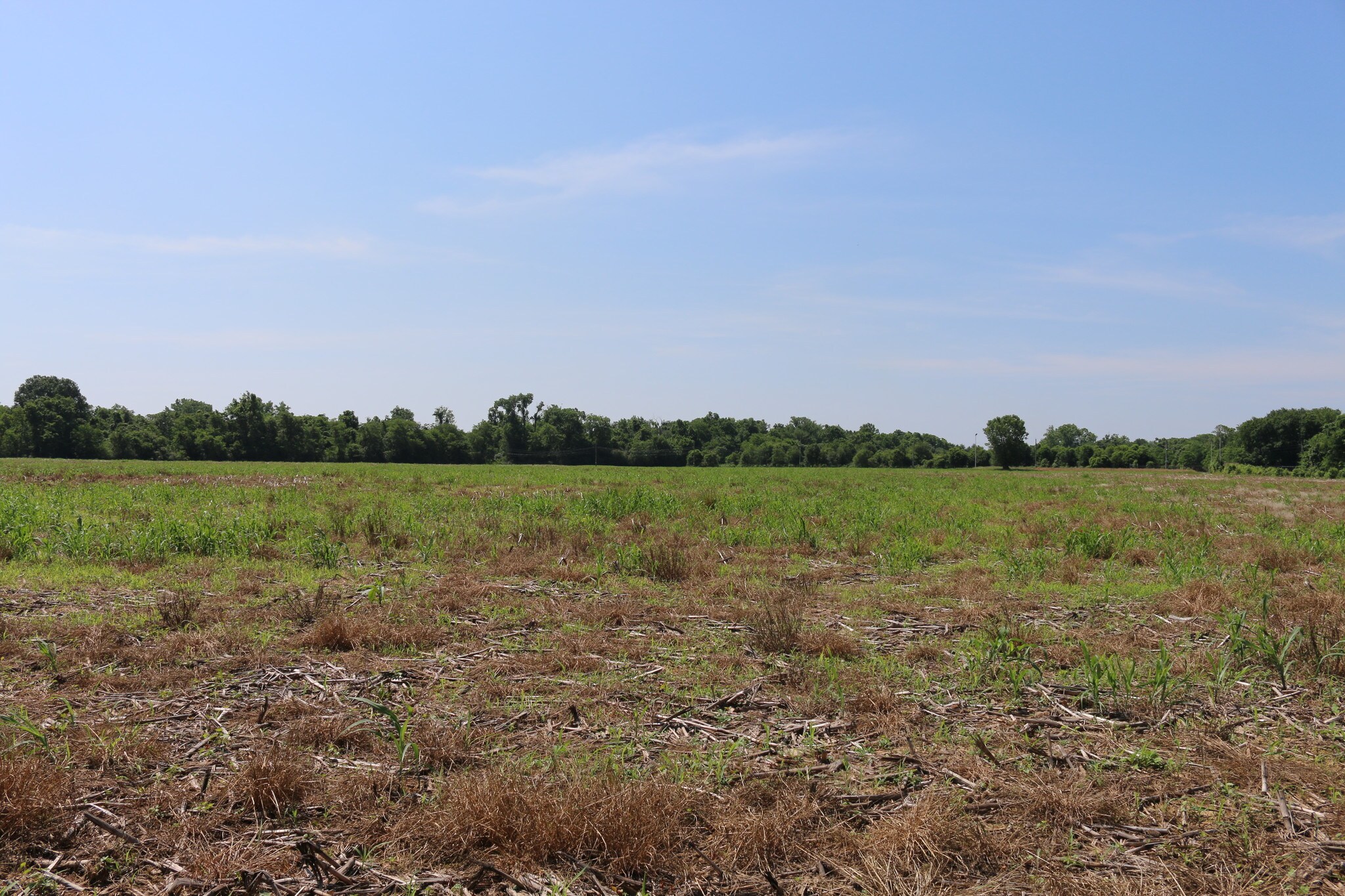 4201 Bermuda Hundred Rd, Chester, VA for sale Primary Photo- Image 1 of 1