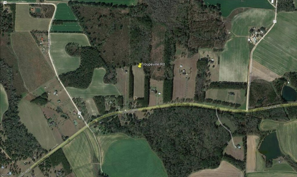 0 Troupeville Rd, Quitman, GA for sale - Aerial - Image 1 of 4