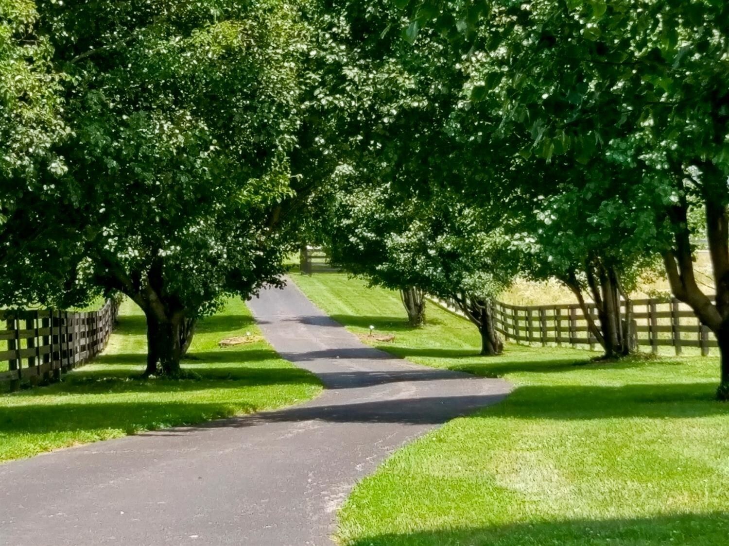 660 Kennedy Bridge Rd, Harrodsburg, KY for sale Primary Photo- Image 1 of 1