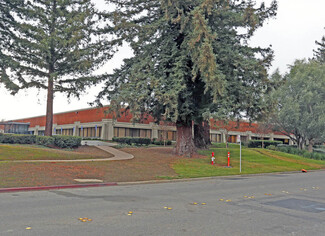 More details for 2625 Shadelands Dr, Walnut Creek, CA - Office/Medical for Lease