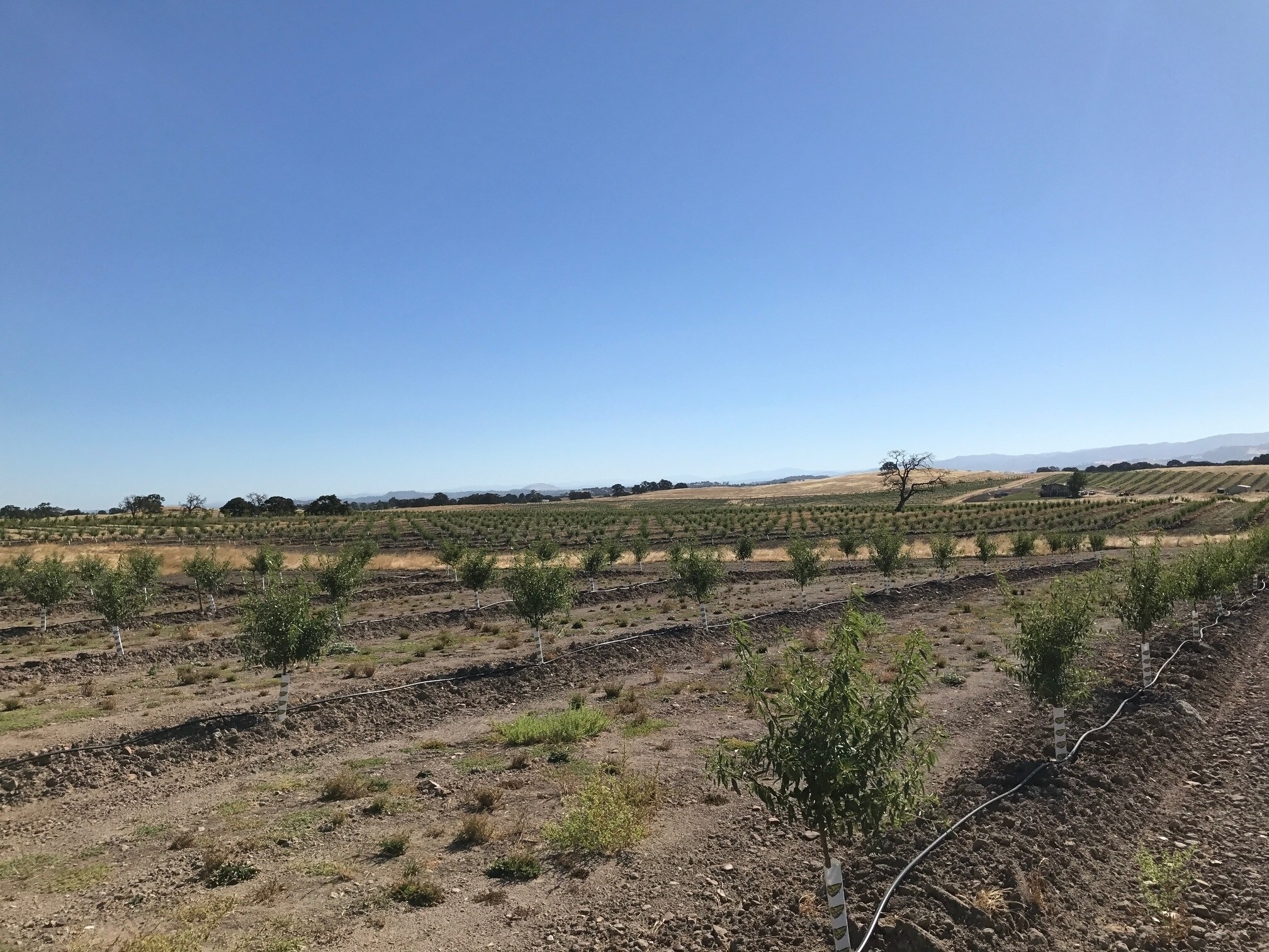 13571 N Wimer Rd, Linden, CA for sale Primary Photo- Image 1 of 1