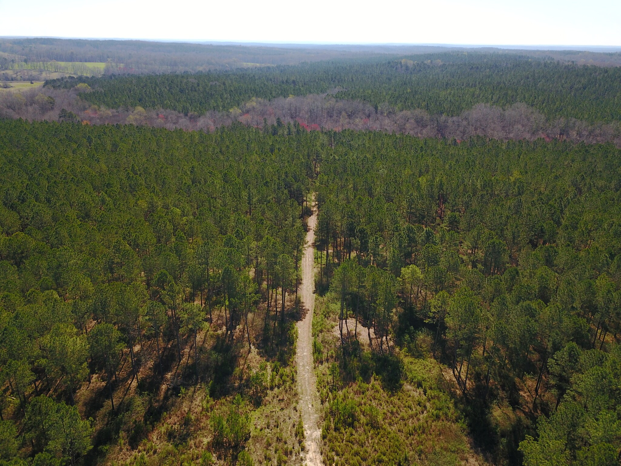 Bodie Rayle Rd, Elberton, GA for sale Building Photo- Image 1 of 1