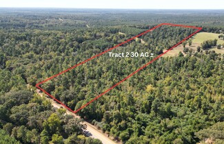 More details for TBD TX 43' hwy, Bivins, TX - Land for Sale