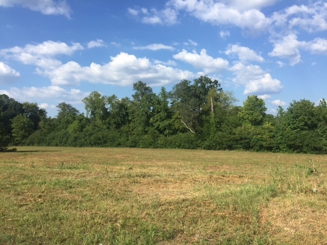 Joe Frank Harris Pky, Adairsville, GA for sale - Primary Photo - Image 1 of 9