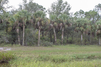 More details for 7047 W SR 80, Labelle, FL - Land for Sale