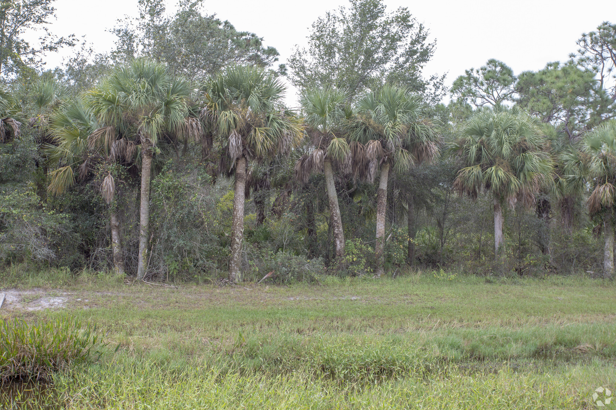 7047 W SR 80, Labelle, FL for sale Primary Photo- Image 1 of 9