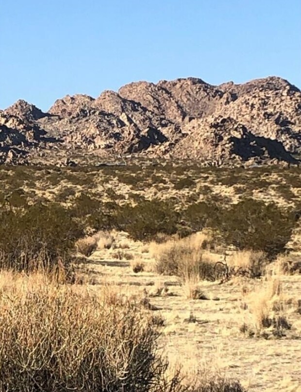 64647 Foothill Dr, Joshua Tree, CA for sale Primary Photo- Image 1 of 1