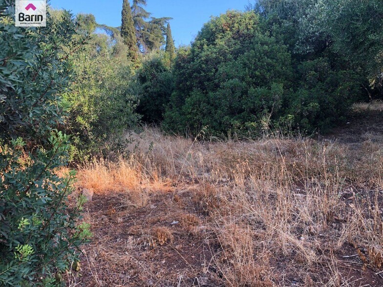 Land in Córdoba for sale - Building Photo - Image 1 of 5