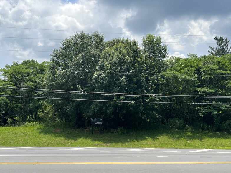 Tara Boulevard & McDonough Road, Hampton, GA for sale - Primary Photo - Image 3 of 10