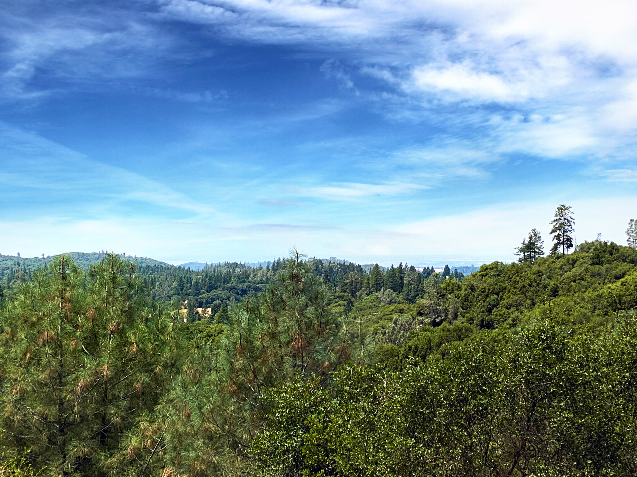 18171 Hale Rd, Volcano, CA for sale Primary Photo- Image 1 of 1