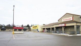 More details for 226 1st Ave E, Shelburne, ON - Retail for Lease