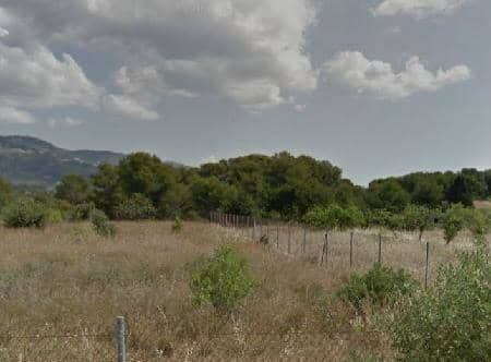 Alcocebre Polígono, 262, Alcalà de Xivert, Castellón for sale - Building Photo - Image 1 of 3