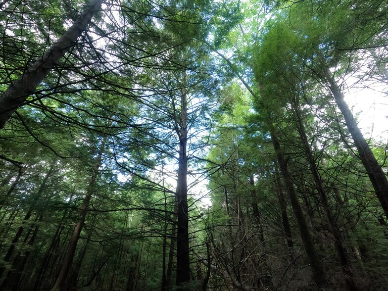 Lincoln Ave, Winchendon, MA 01475 59acre Lot 64 Lincoln Ave, Winchendon MA