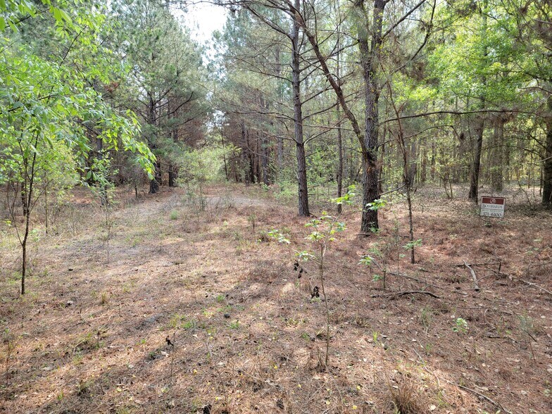 0 Vacant land, La Crosse, FL for sale - Primary Photo - Image 1 of 1