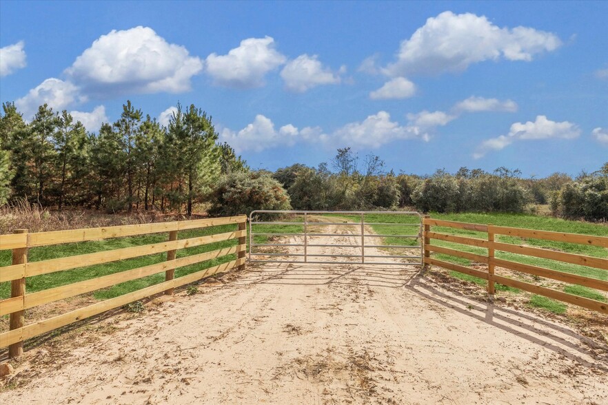 0 Mack Washington Ln. Ln, Hempstead, TX for sale - Other - Image 3 of 14