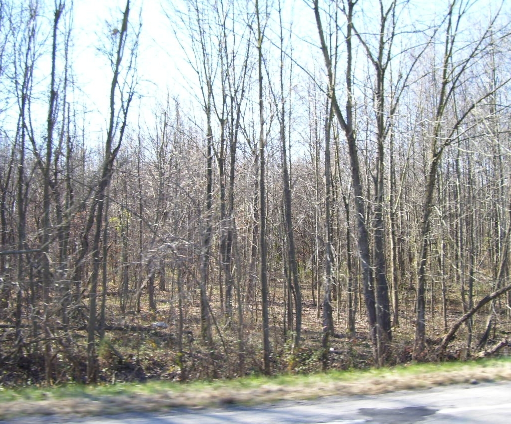 Highway 66, Newburgh, IN for sale Primary Photo- Image 1 of 1