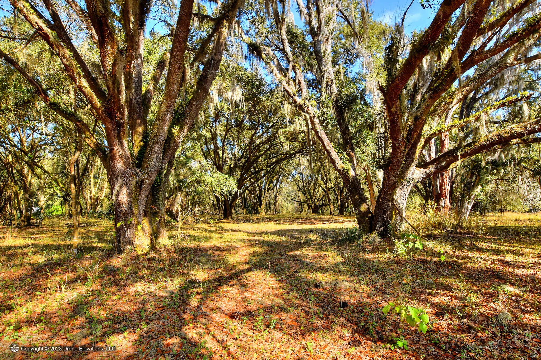 McIntosh Road, Plant City, FL 33565 Plant City Lake Preserve 68±