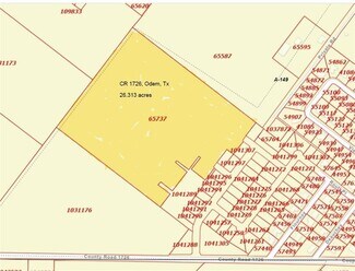More details for 5070 County Road 2047, Odem, TX - Land for Sale