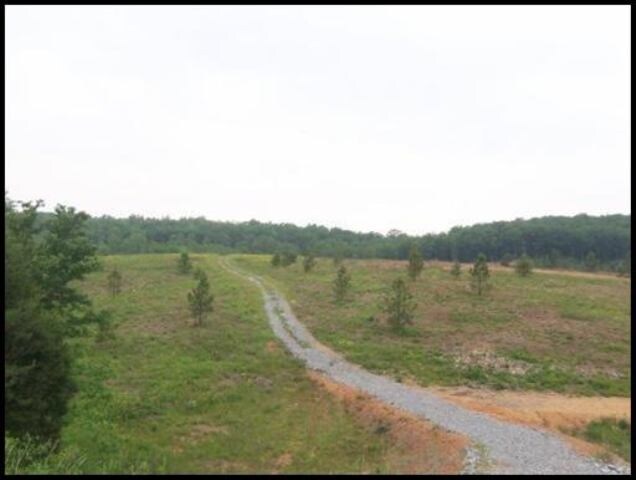 Highway 68, Niota, TN for sale - Primary Photo - Image 1 of 1