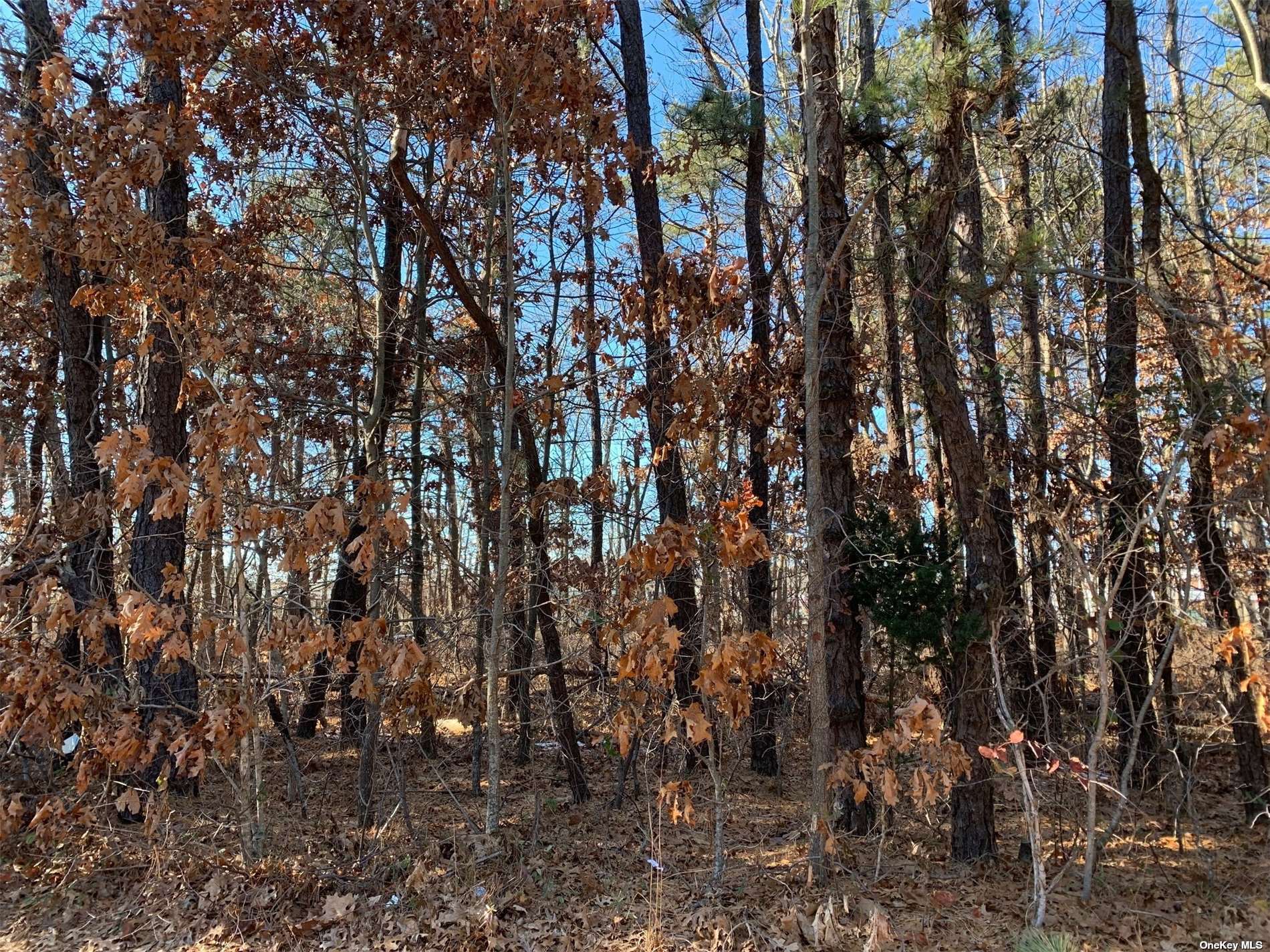 VL Mastic Rd, Mastic Beach, NY 11951 Land for Sale