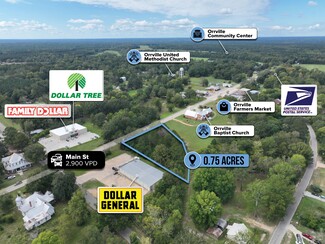 More details for adj. to 14344 Main St, Orrville, AL - Land for Sale