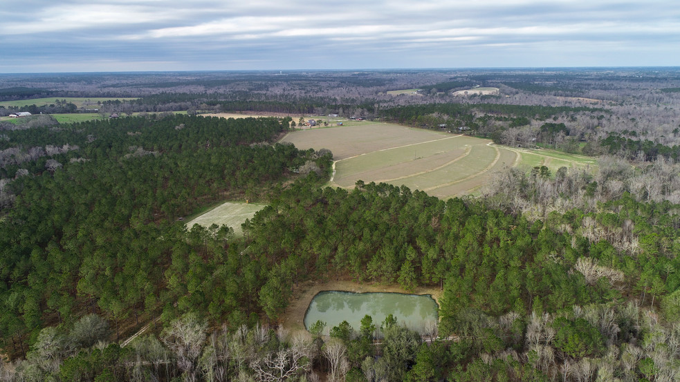 3200 Ben Bostic Rd, Quincy, FL for sale - Aerial - Image 1 of 1