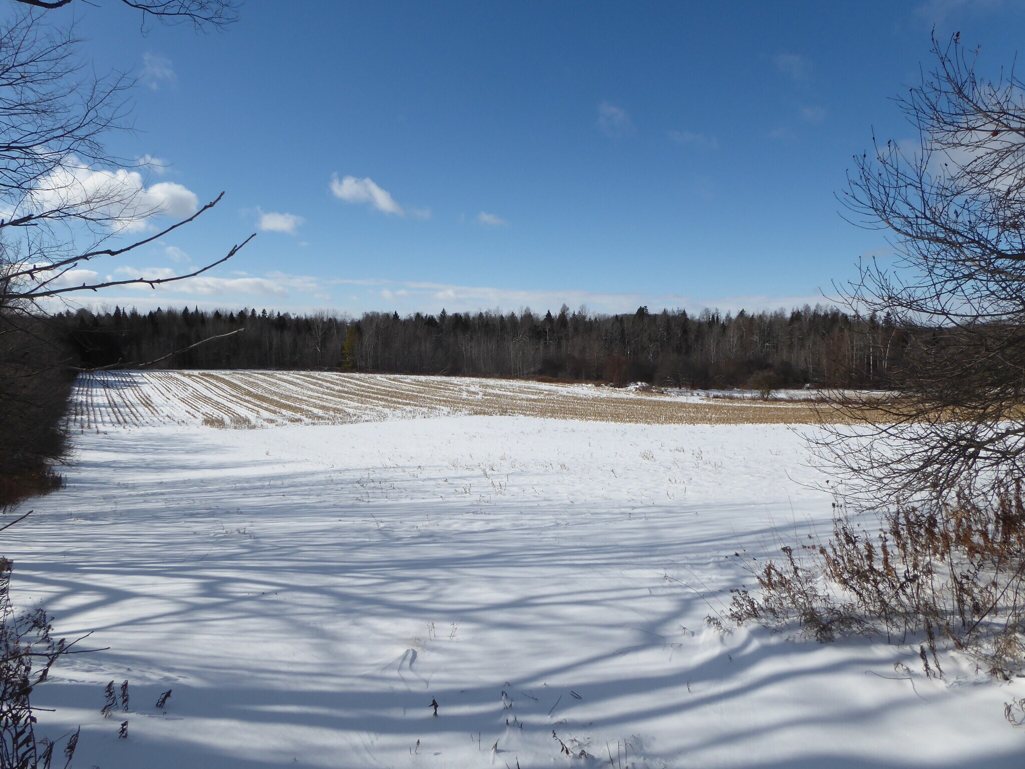 Land in Erin, ON for sale Building Photo- Image 1 of 10