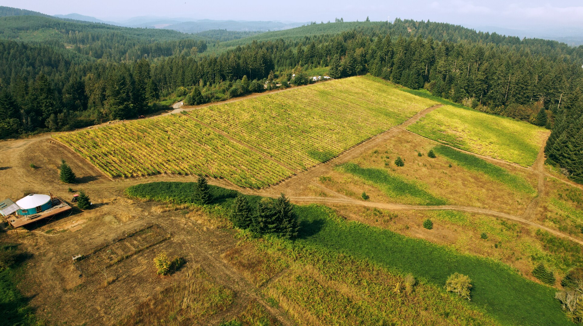 Bolton Hill 1, OR 97487 Soaring Estates